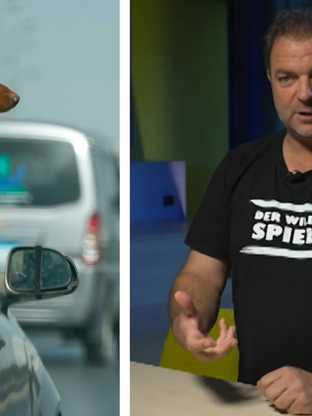 Bild zu: "Worauf muss ich bei Autofahrten mit Hund achten?"