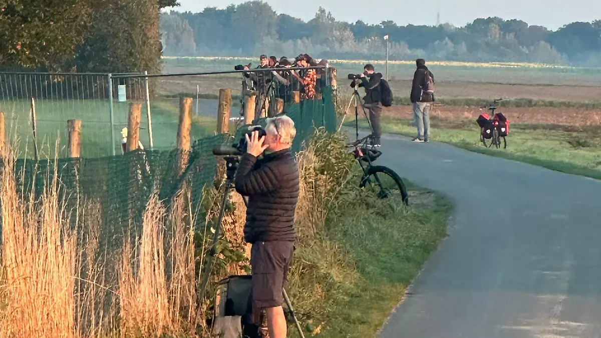 Vogelkundler sind begeistert (Quelle: Privat)