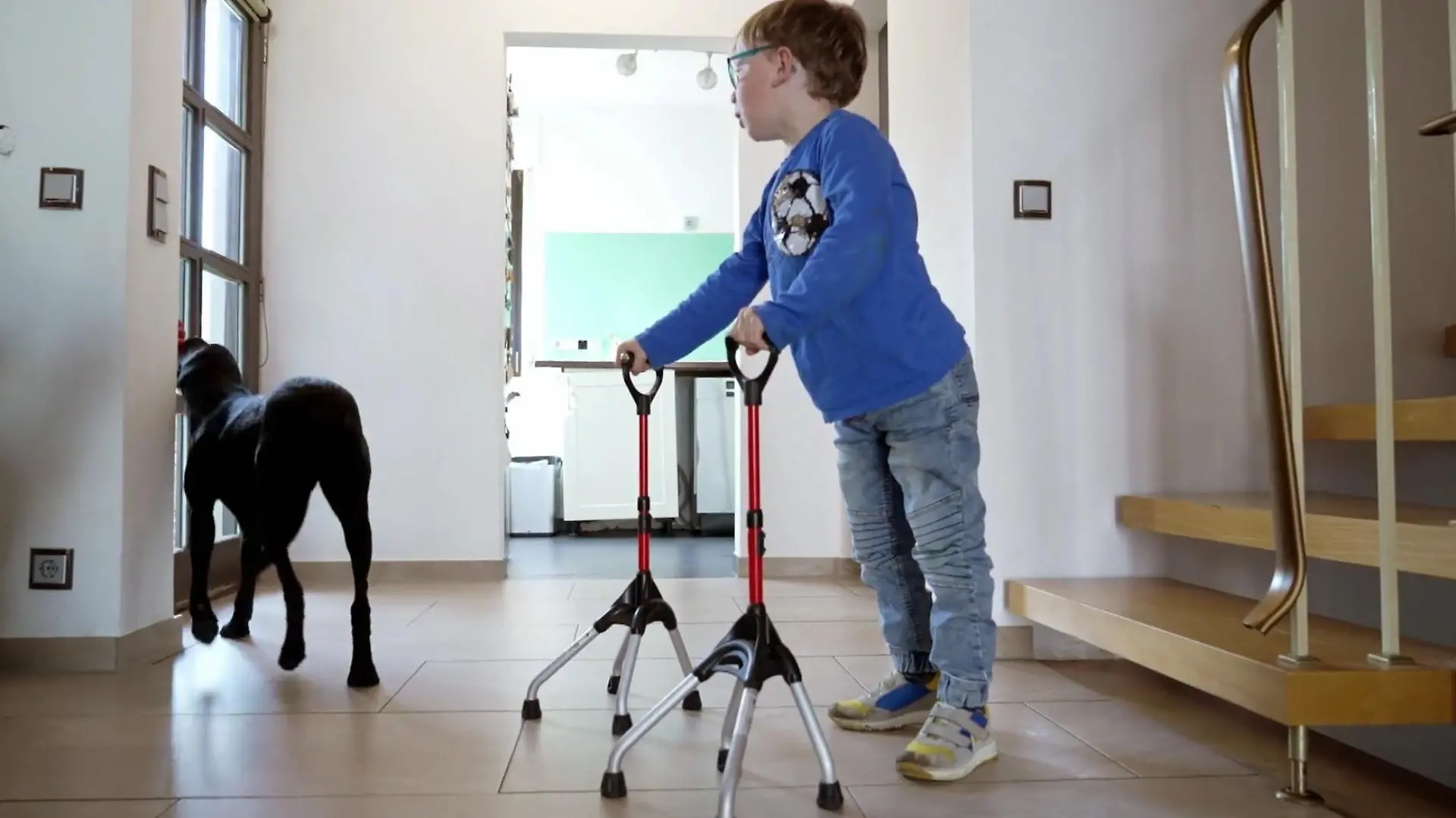 Für Niklas ist Assistenzhund Lenny ein treuer Begleiter und Alltagshelfer geworden - und sie trainieren fleißig weiter!