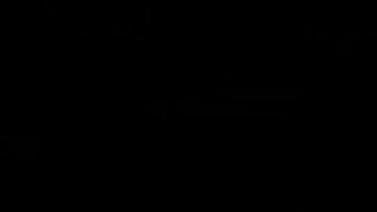 Miljoenen euro's voor niets! Steuer-Drama in een kleine Fähre Missunde III