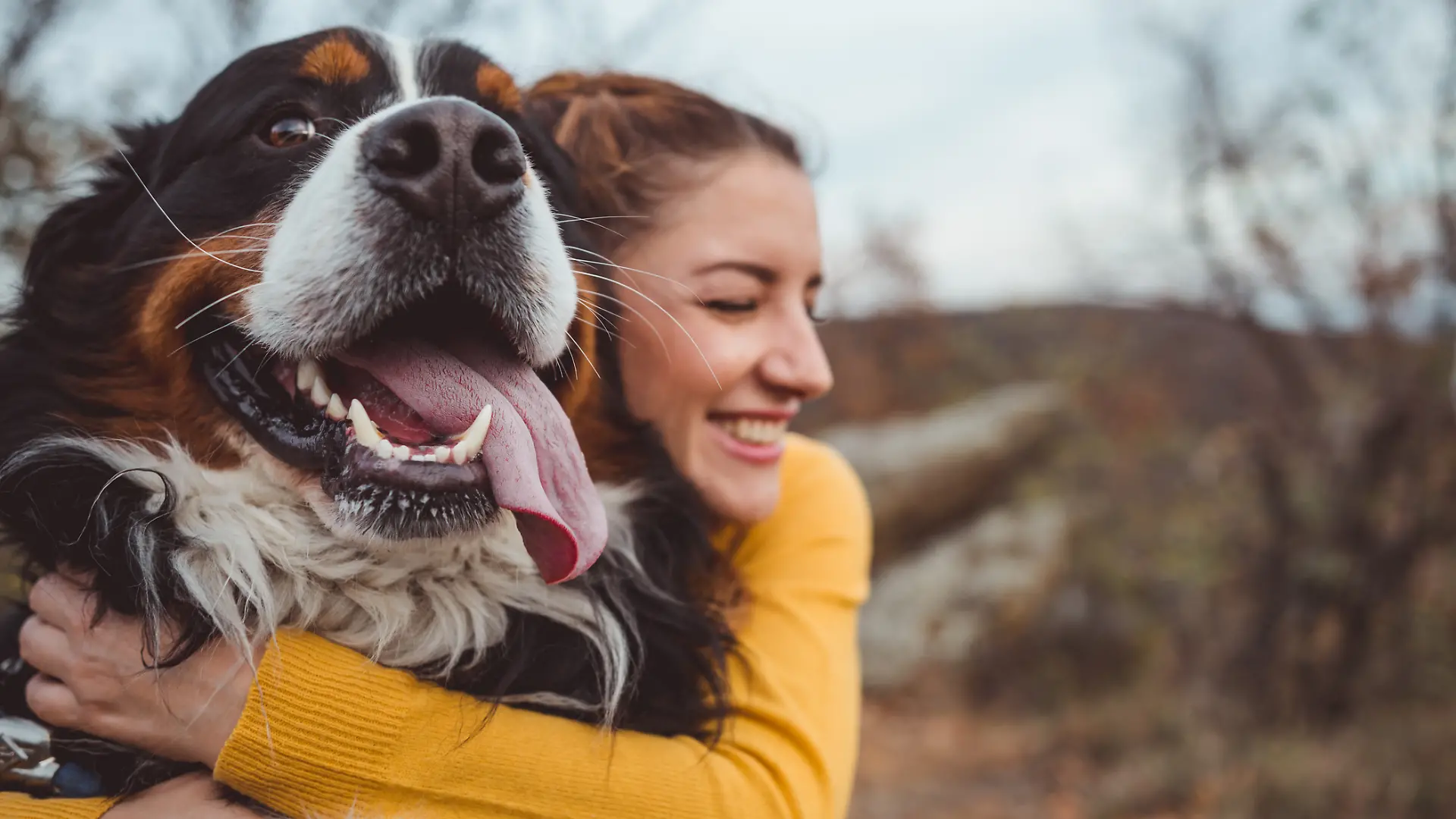 Eine junge Frau umarmt lächelnd ihren Berner Sennenhund.