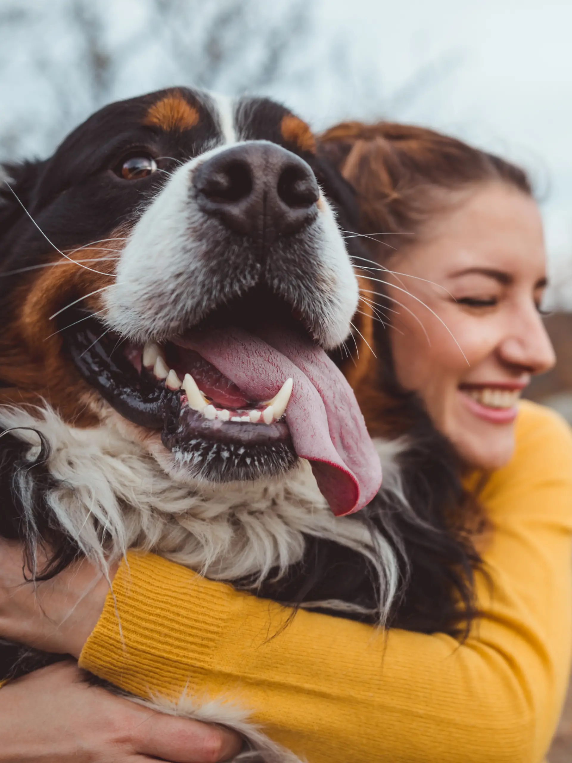 Eine junge Frau umarmt lächelnd ihren Berner Sennenhund.