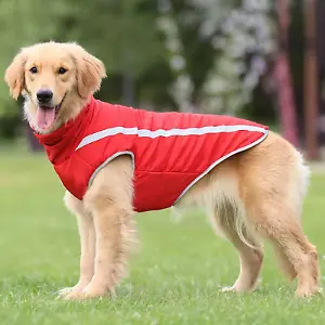 Hundemantel in Rot