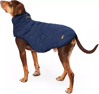 Rosewood Joules gesteppter Hundemantel, Marineblau 