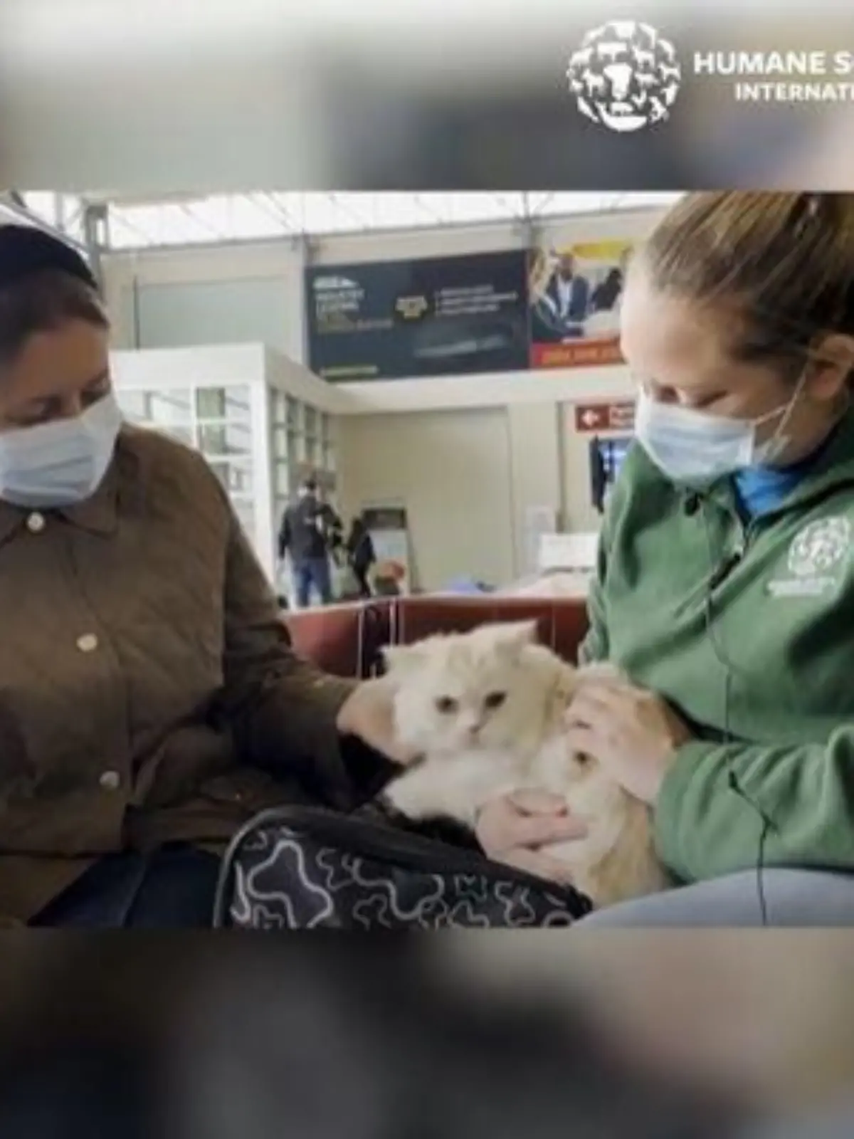 Frauchen und Kater am Flughafen in den USA.