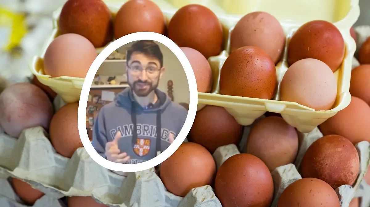 Harvard Doktorand Nick Norwitz isst 720 Eier in einem Monat.