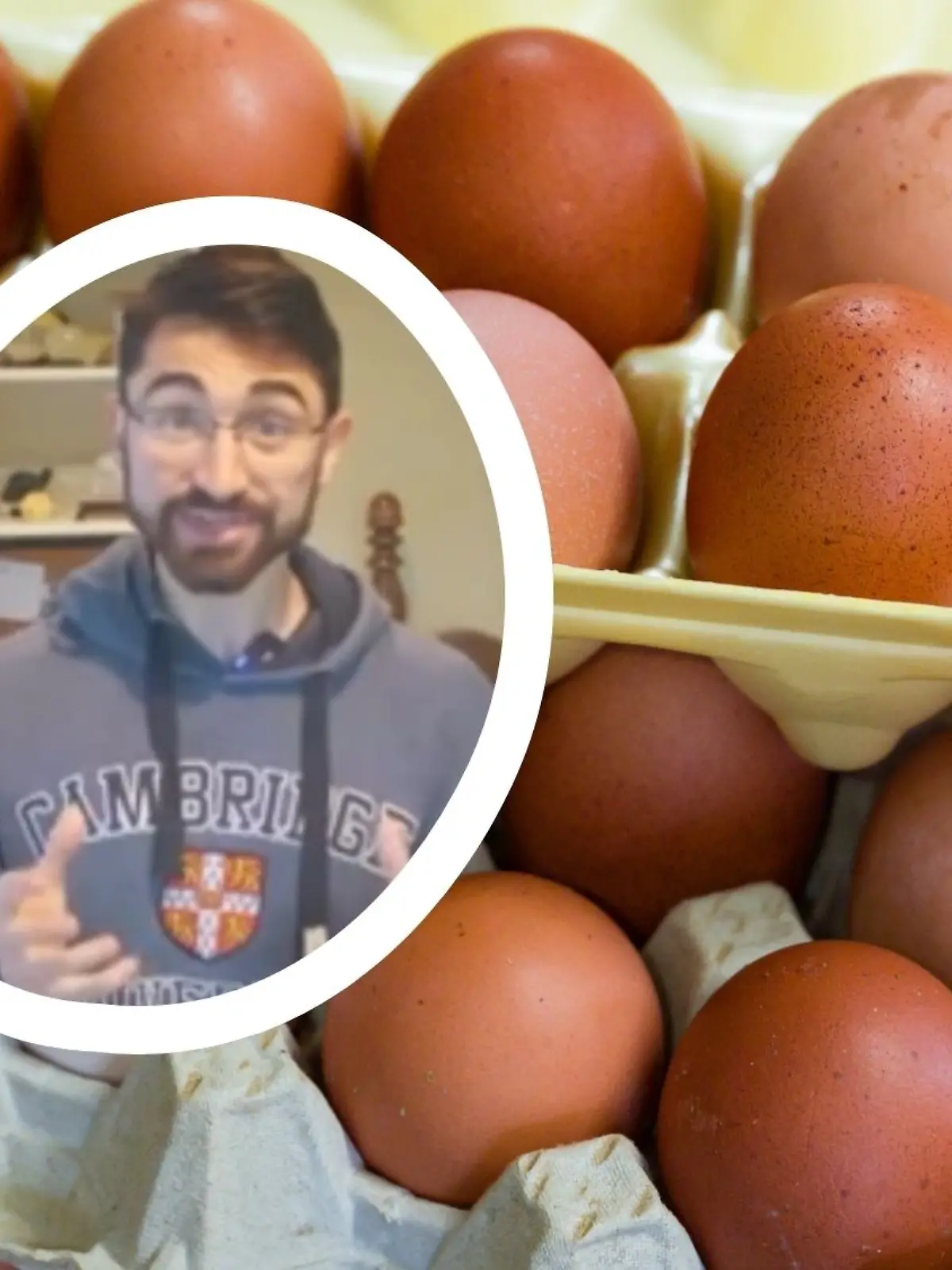 Harvard Doktorand Nick Norwitz isst 720 Eier in einem Monat.