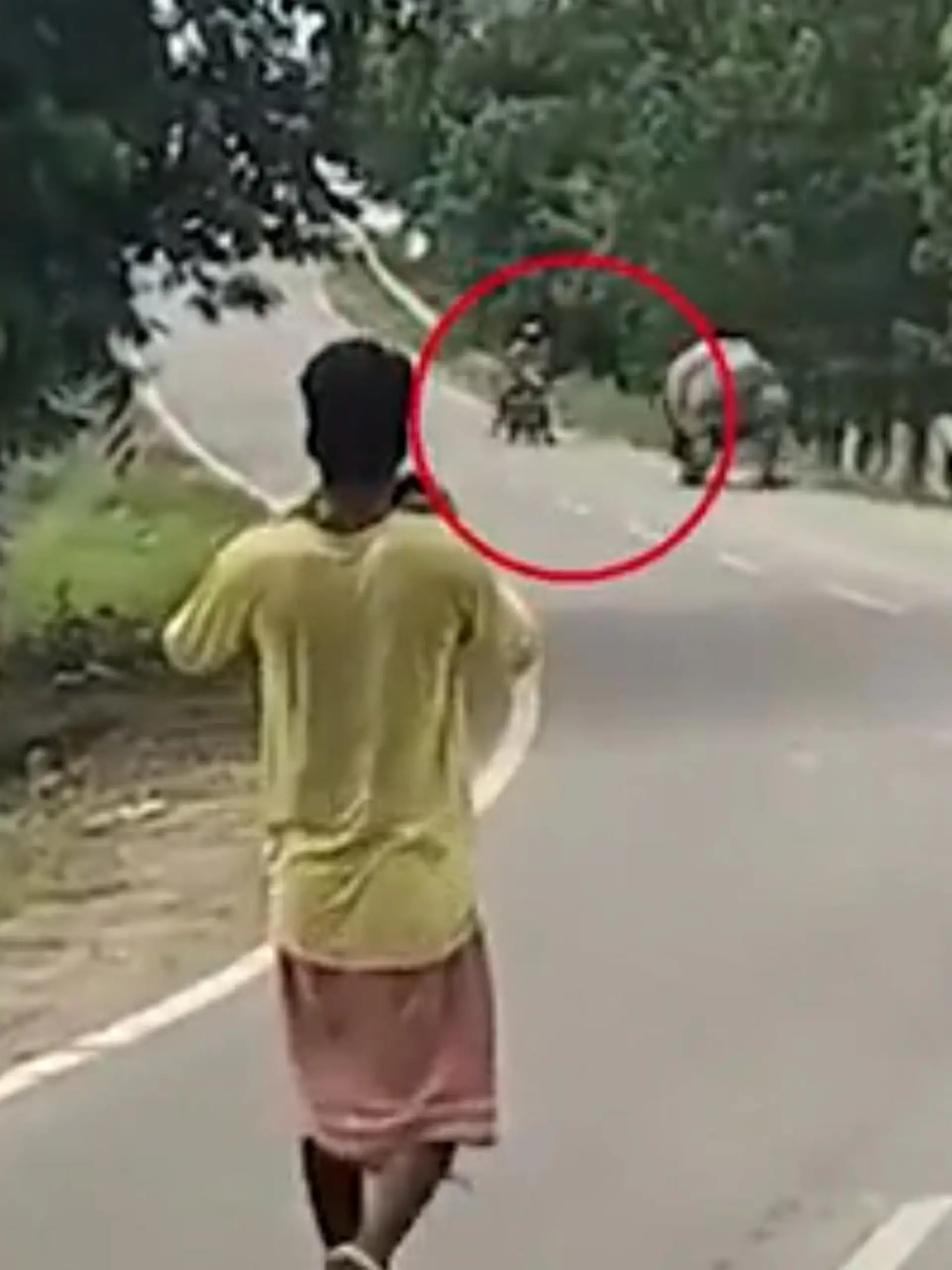 Bild zu: "Er hat keine Chance! Nashorn trampelt Motorradfahrer nieder"