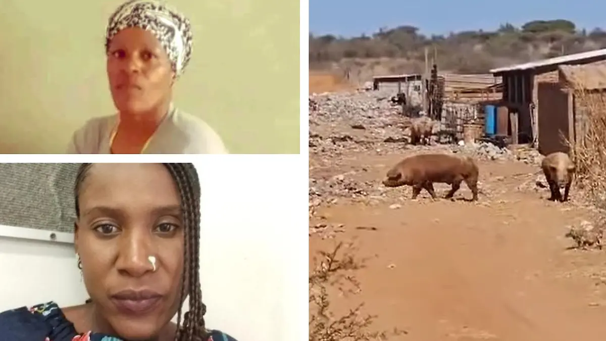Maria Makgato und Lucia Ndlovu werden von den Männern erschossen und anschließend den Schweinen zum Fraß vorgeworfen.