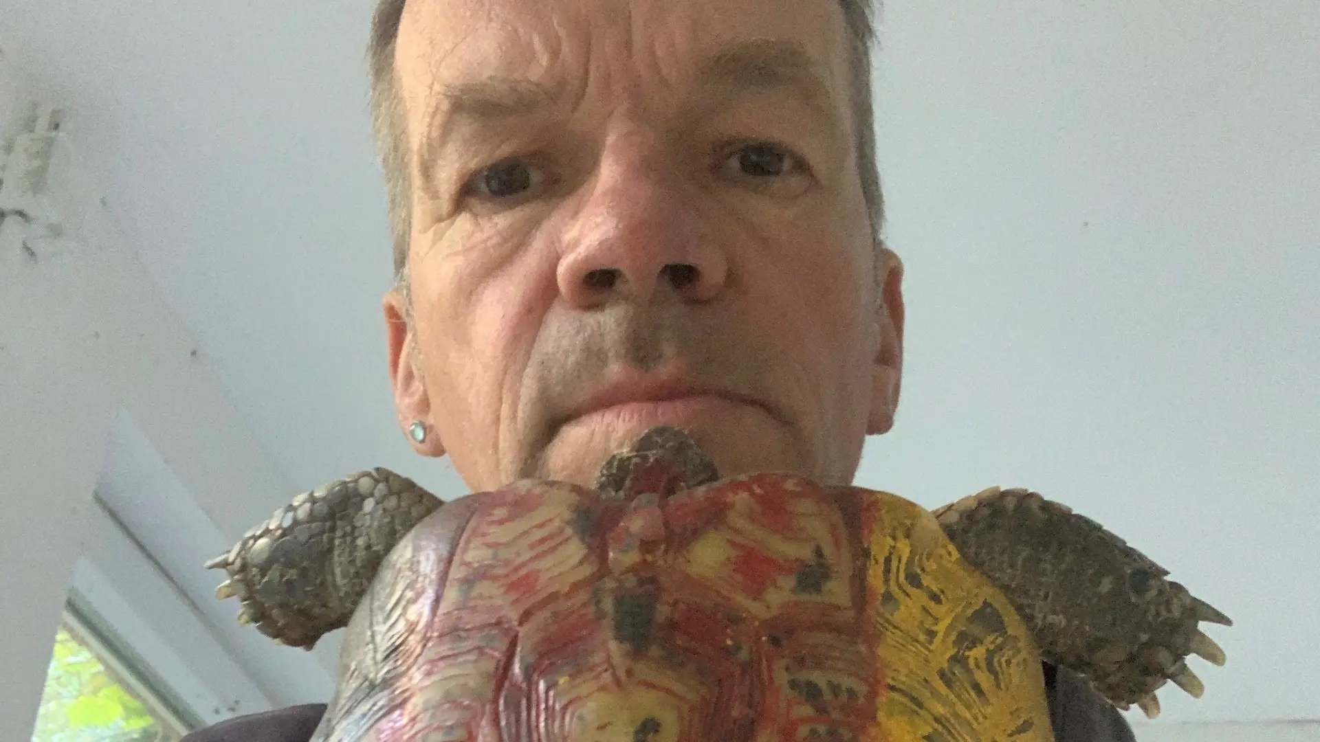 Christian Erdmann und sein Team kümmern sich jetzt um die Schildkröte.