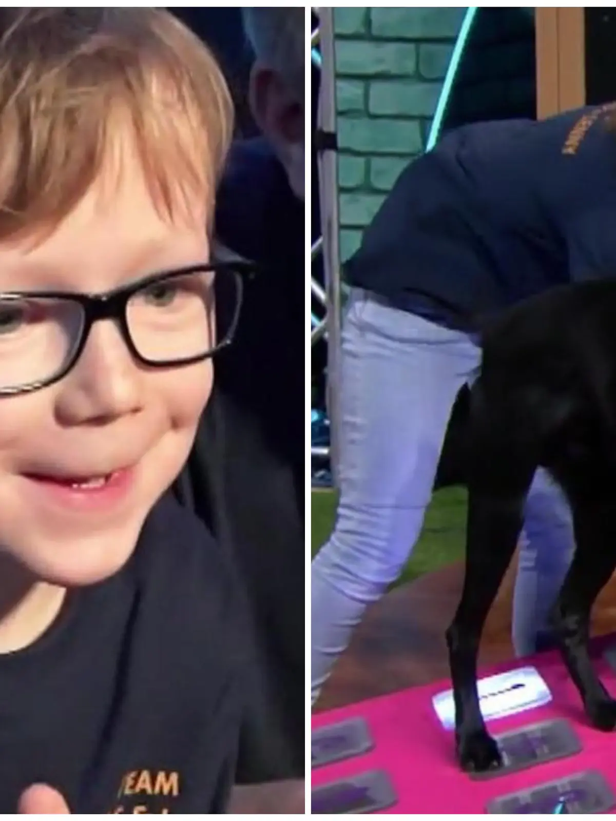 Der kleine Niklas fiebert kräftig mit, während sein Assistenzhund Lenny mit Mama Janine durch den "Top Dog"-Parcours flitzt.