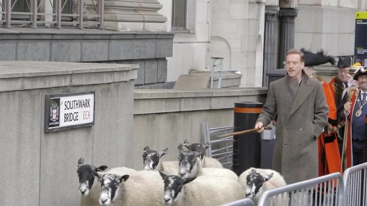 Schauspieler Damian Lewis treibt Schafe durch London Määääh!