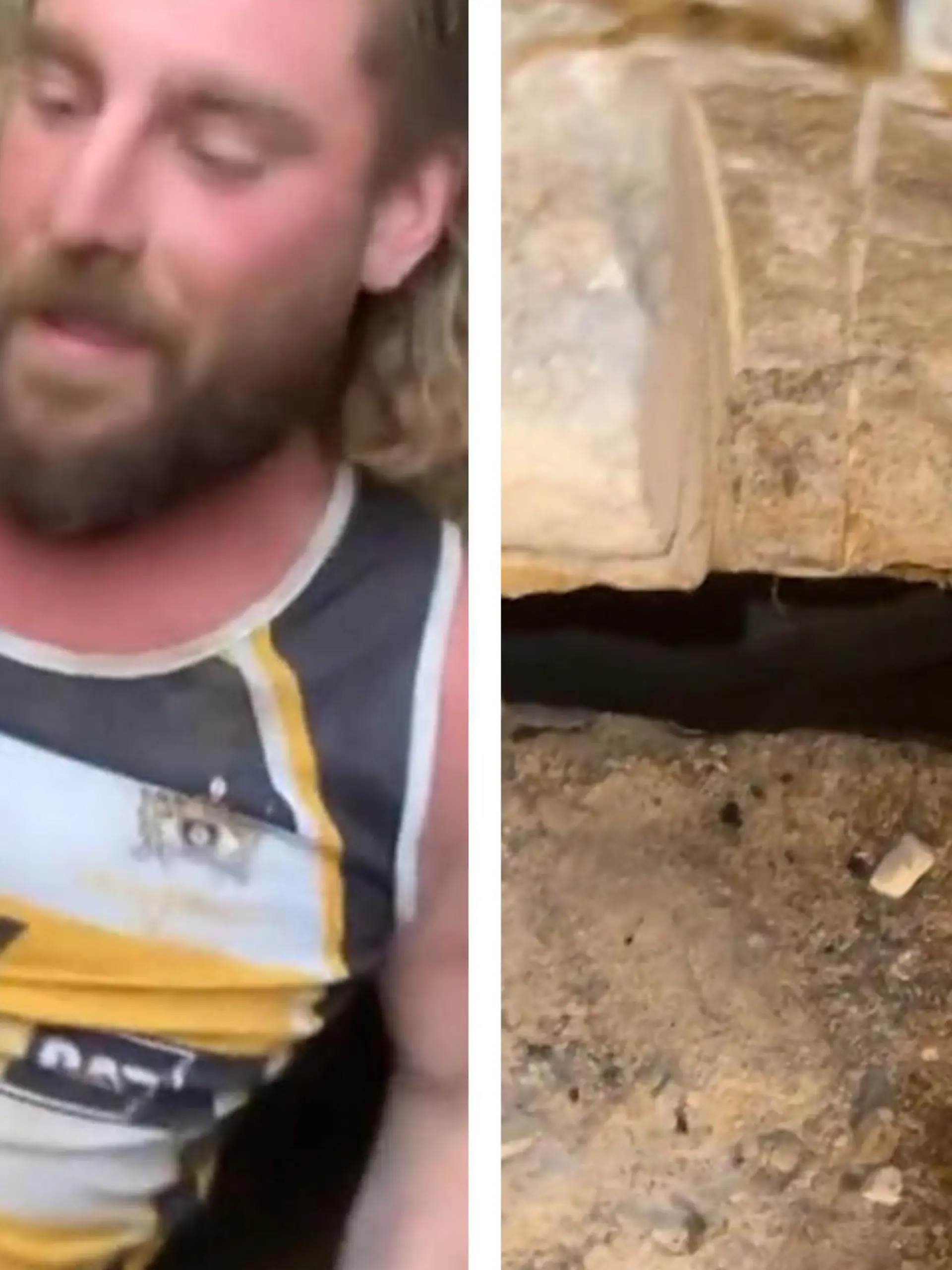 Bild zu: "Hund Rose nach sieben Tagen unter der Erde gerettet"