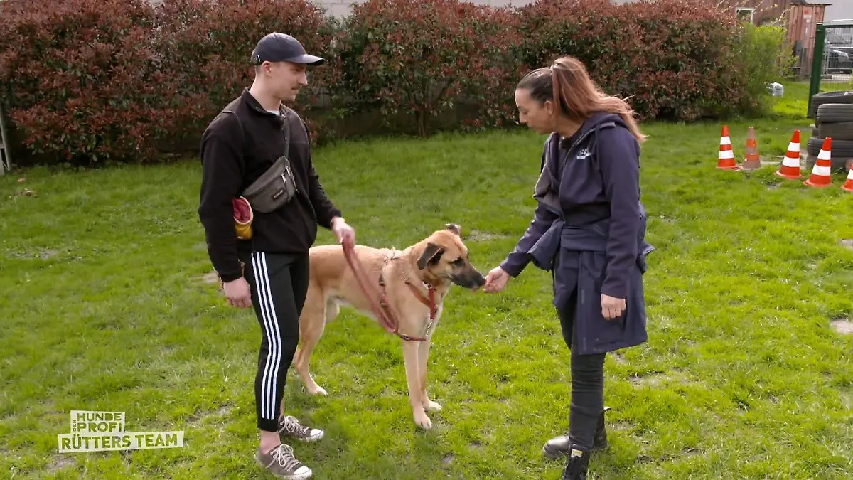 Ellen Marques trainiert mit Schäferhund Jay Aggression bändigen