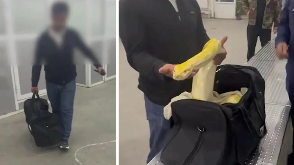 Mann zal Riesen-Python in Flieger schmuggeln Würgeschlange statt Warteschlange