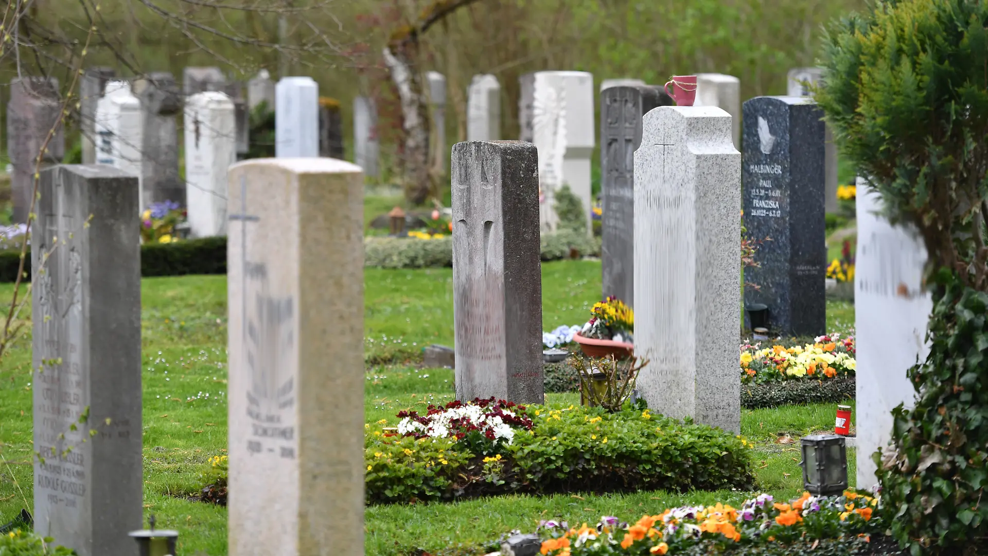 Wegen regelmäßiger Sextreffen auf der Friedhofstoilette in Teufenthal (Schweiz) zieht die Gemeinde drastische Konsequenzen: Das WC wird ab Januar 2025 geschlossen.