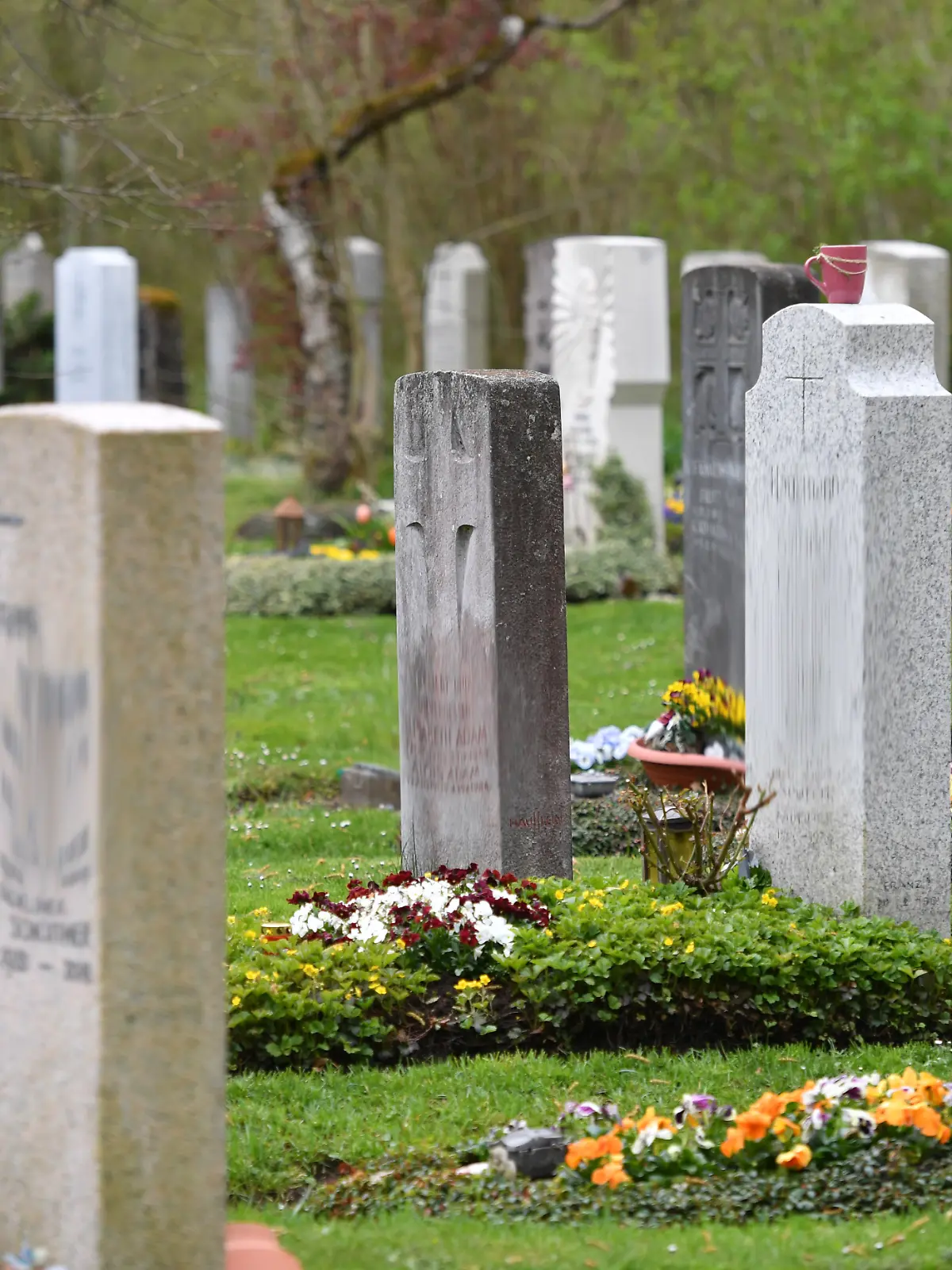 Wegen regelmäßiger Sextreffen auf der Friedhofstoilette in Teufenthal (Schweiz) zieht die Gemeinde drastische Konsequenzen: Das WC wird ab Januar 2025 geschlossen.