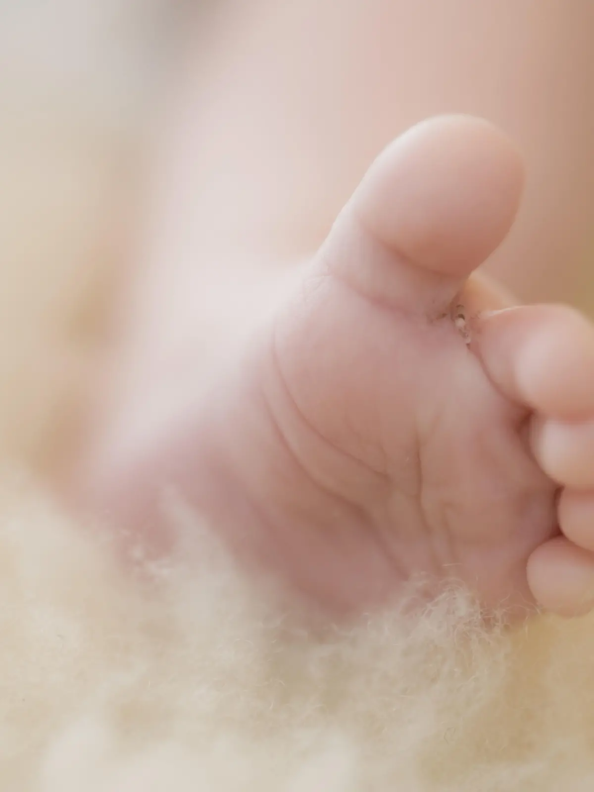 Bild zu: "Baby liegt nach Geburt tot in Toilette – Eltern stehen vor Gericht"