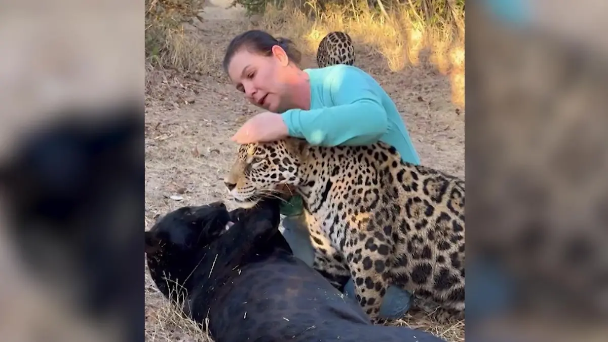 Ist diese Frau fürsorglich oder lebensmüde?