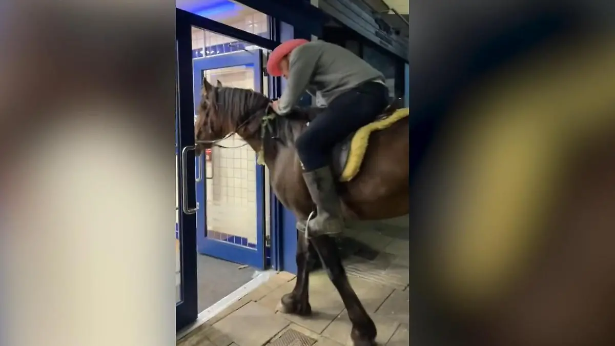 Ride-In statt Drive-In! Pferde stürmen Fast-Food-Restaurant