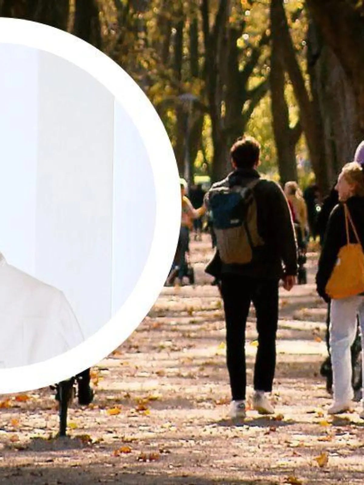 Bild zu: "Mit zwei Tricks gesund durch den Herbst"