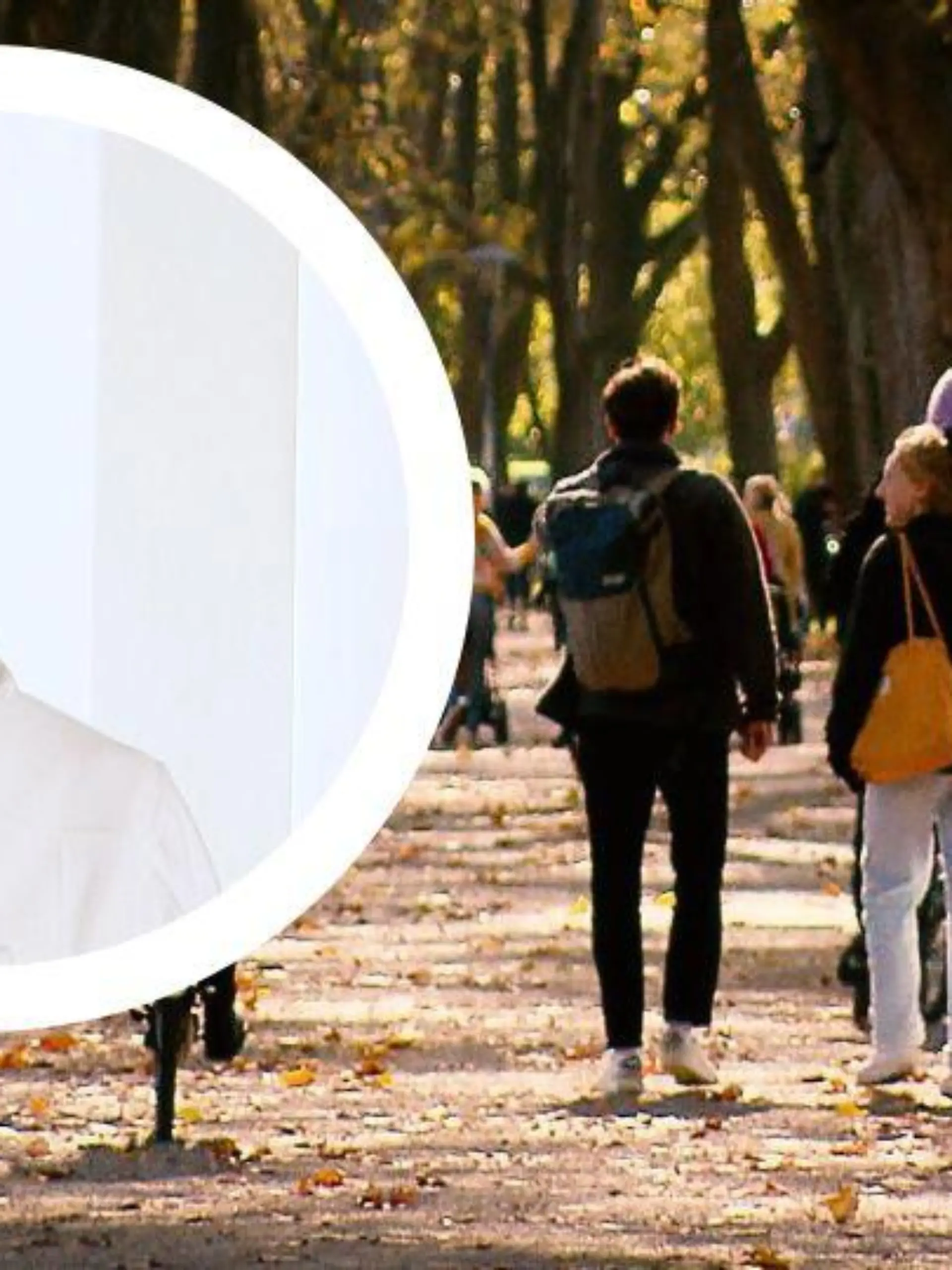 Bild zu: "Mit zwei Tricks gesund durch den Herbst"