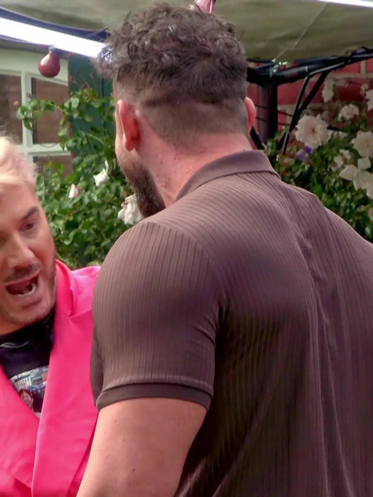 Bild zu: "Dieser Sommerhaus-Neuzugang sorgt für Erstaunen"