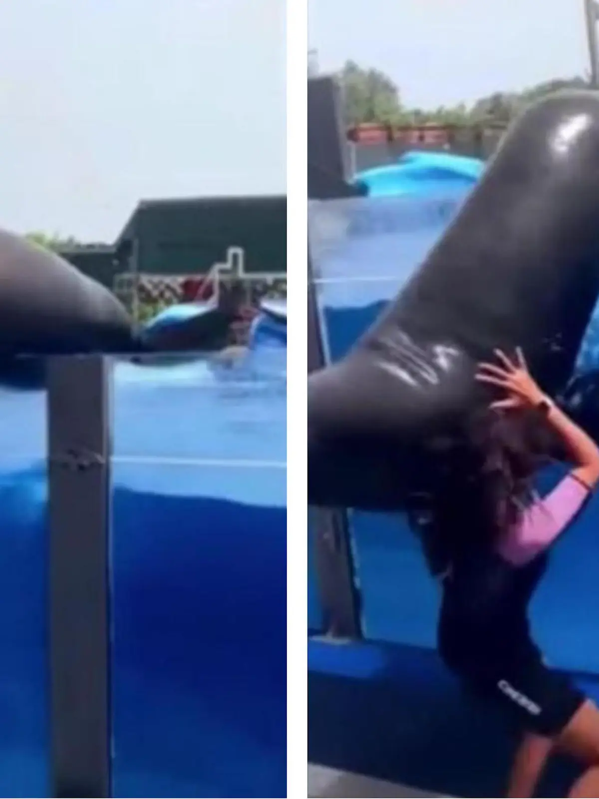 Au weia! Das ist gerade nochmal gut gegangen. Im Marineland auf Mallorca ist ein Seelöwe aus seinem Aquarium gestürzt - und auf seine Trainerin gefallen. Zum Glück sind die beiden mit dem Schrecken davon gekommen. Ein großer Schock dürfte dieser Unfall dennoch gewesen sein.