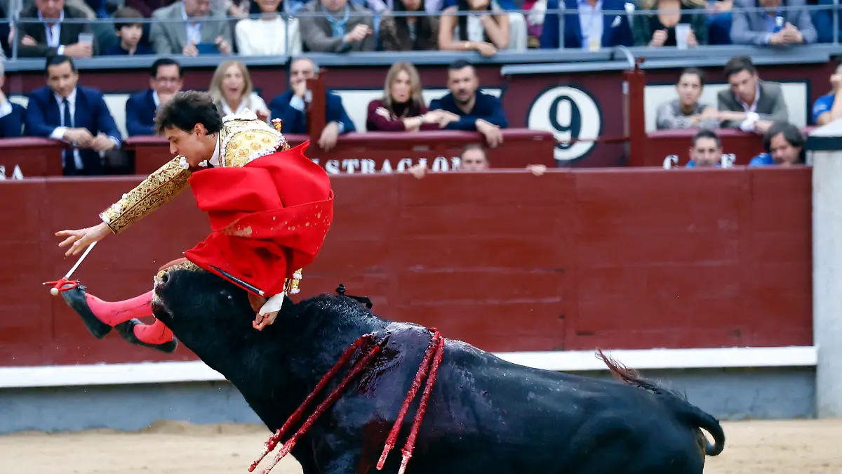 Andrés Roca Rey (27) ist bei seinem Debüt in Madrid von einem Stier aufgespießt worden.