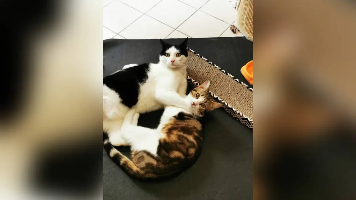 Jerry und Fiona sind unzertrennlich!