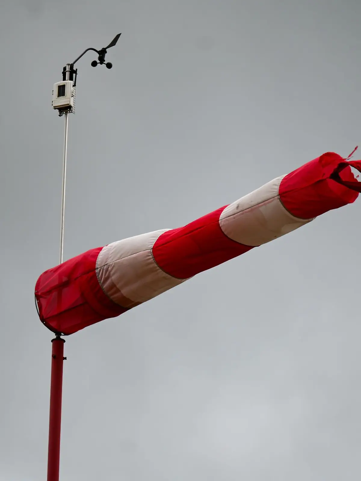 Bild zu: "Kräftiger Wind mit Sturmböen bringt Rettungsaktion für Wal Timmy ins Stocken"