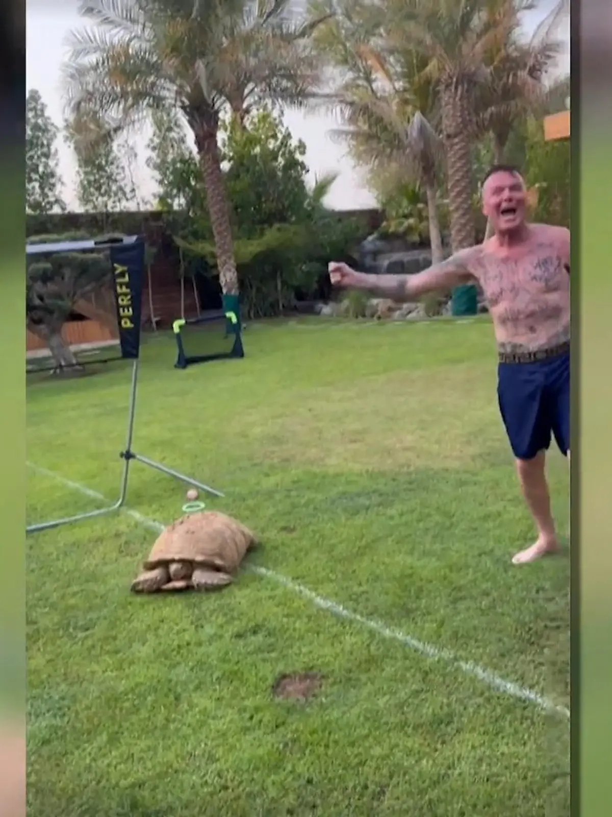 Dieses Video macht fassungslos! Prinz Marcus von Anhalt schießt eine Schildkröte mit dem Fußball ab und hat dabei offensichtlich großen Spaß. Wie Detlef Steves und andere Promis auf das Tierquälerei-Video reagieren!