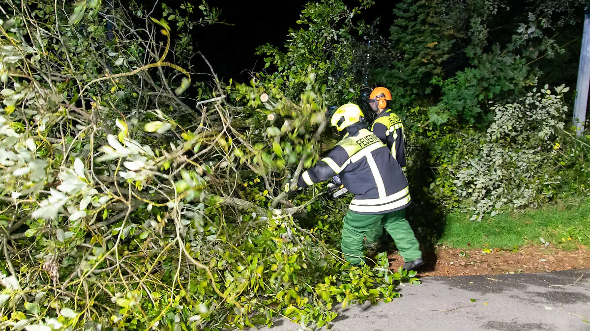 240927Sturm News ID: EN 2024-09-27-2 Sturmtief bringt Herbst in die Region Vereinzelt Feuerwehreinsätze durch umgestürzte Bäume Thalheim. Im Erzgebirge ist der Herbst angekommen. Das erste Sturmtief der Saison Namens CONSTANZE hat vergangene Nacht vor allem in freien Lagen des Erzgebirges für schwere Sturmböen gesorgt. Auf dem Fichtelberg stürmte es gegen Mitternacht um die 100 km/h. Der Betrieb der Fichtelberg Schwebebahn musste bereits am Donnerstagnachmittag eingestellt werden. Vereinzelt wurden durch den Sturm in der Nacht auch Bäume entwurzelt und Äste abgebrochen. Auf der B180 bei Thalheim stürzten gegen 1:40 Uhr gleich zwei Bäume auf die B180. Kameraden der Feuerwehr Thalheim kamen zum Einsatz, um den Baum zu entfernen. Di