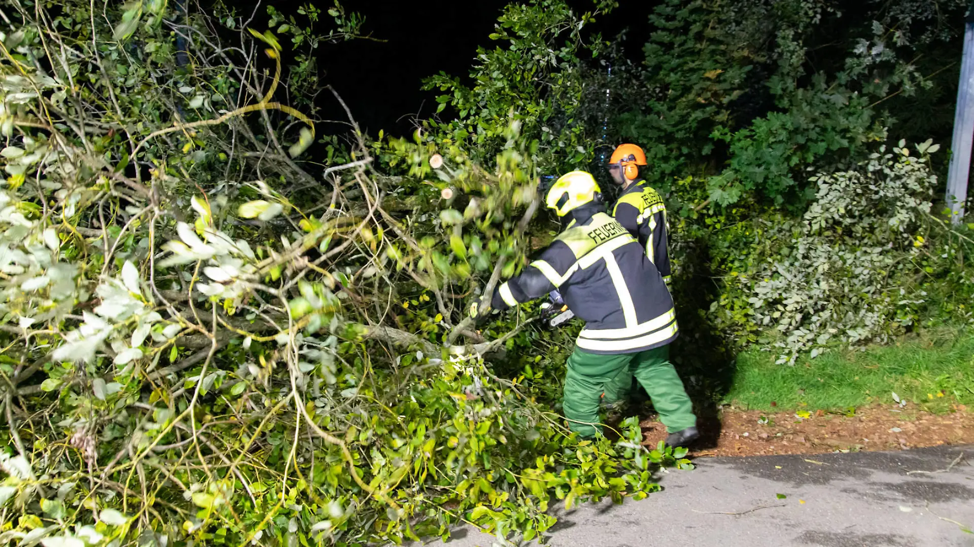 240927Sturm News ID: EN 2024-09-27-2 Sturmtief bringt Herbst in die Region Vereinzelt Feuerwehreinsätze durch umgestürzte Bäume Thalheim. Im Erzgebirge ist der Herbst angekommen. Das erste Sturmtief der Saison Namens CONSTANZE hat vergangene Nacht vor allem in freien Lagen des Erzgebirges für schwere Sturmböen gesorgt. Auf dem Fichtelberg stürmte es gegen Mitternacht um die 100 km/h. Der Betrieb der Fichtelberg Schwebebahn musste bereits am Donnerstagnachmittag eingestellt werden. Vereinzelt wurden durch den Sturm in der Nacht auch Bäume entwurzelt und Äste abgebrochen. Auf der B180 bei Thalheim stürzten gegen 1:40 Uhr gleich zwei Bäume auf die B180. Kameraden der Feuerwehr Thalheim kamen zum Einsatz, um den Baum zu entfernen. Di