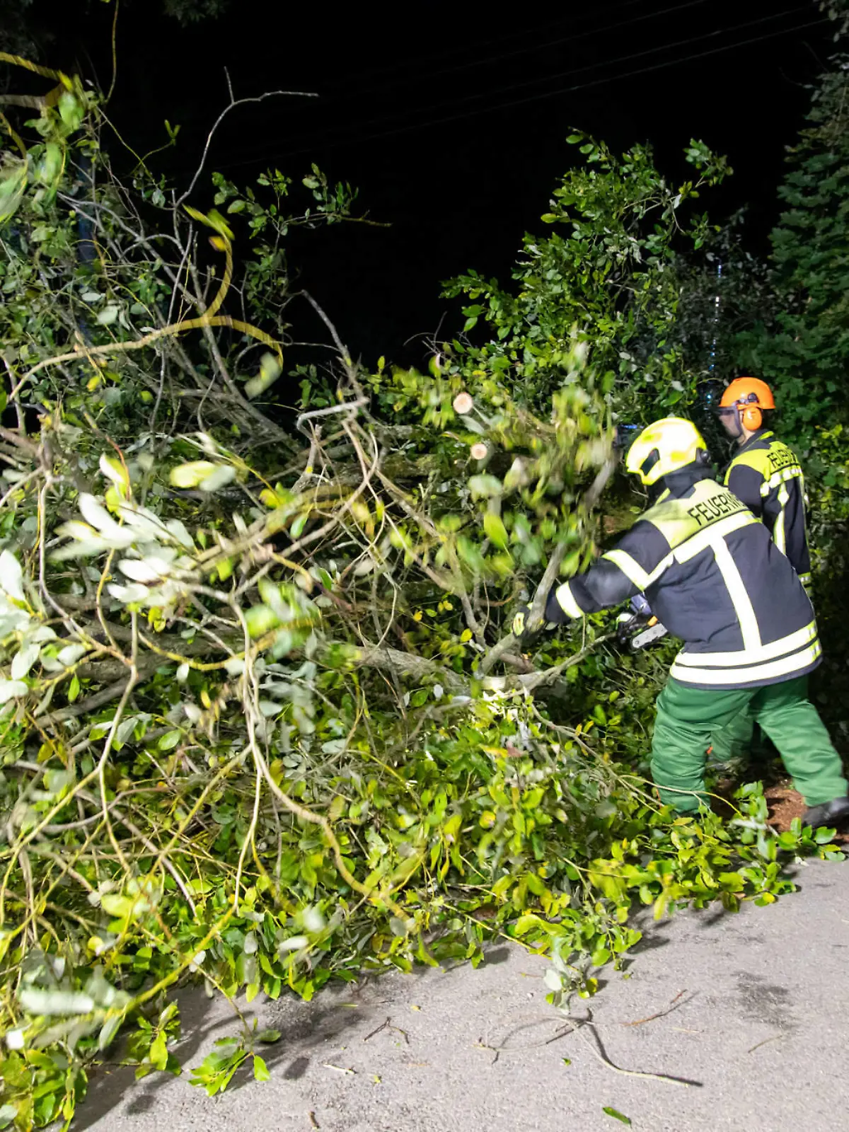 240927Sturm News ID: EN 2024-09-27-2 Sturmtief bringt Herbst in die Region  Vereinzelt Feuerwehreinsätze durch umgestürzte Bäume Thalheim. Im Erzgebirge ist der Herbst angekommen. Das erste Sturmtief der Saison Namens CONSTANZE hat vergangene Nacht vor allem in freien Lagen des Erzgebirges für schwere Sturmböen gesorgt. Auf dem Fichtelberg stürmte es gegen Mitternacht um die 100 km/h. Der Betrieb der Fichtelberg Schwebebahn musste bereits am Donnerstagnachmittag eingestellt werden. Vereinzelt wurden durch den Sturm in der Nacht auch Bäume entwurzelt und Äste abgebrochen. Auf der B180 bei Thalheim stürzten gegen 1:40 Uhr gleich zwei Bäume auf die B180. Kameraden der Feuerwehr Thalheim kamen zum Einsatz, um den Baum zu entfernen. Di