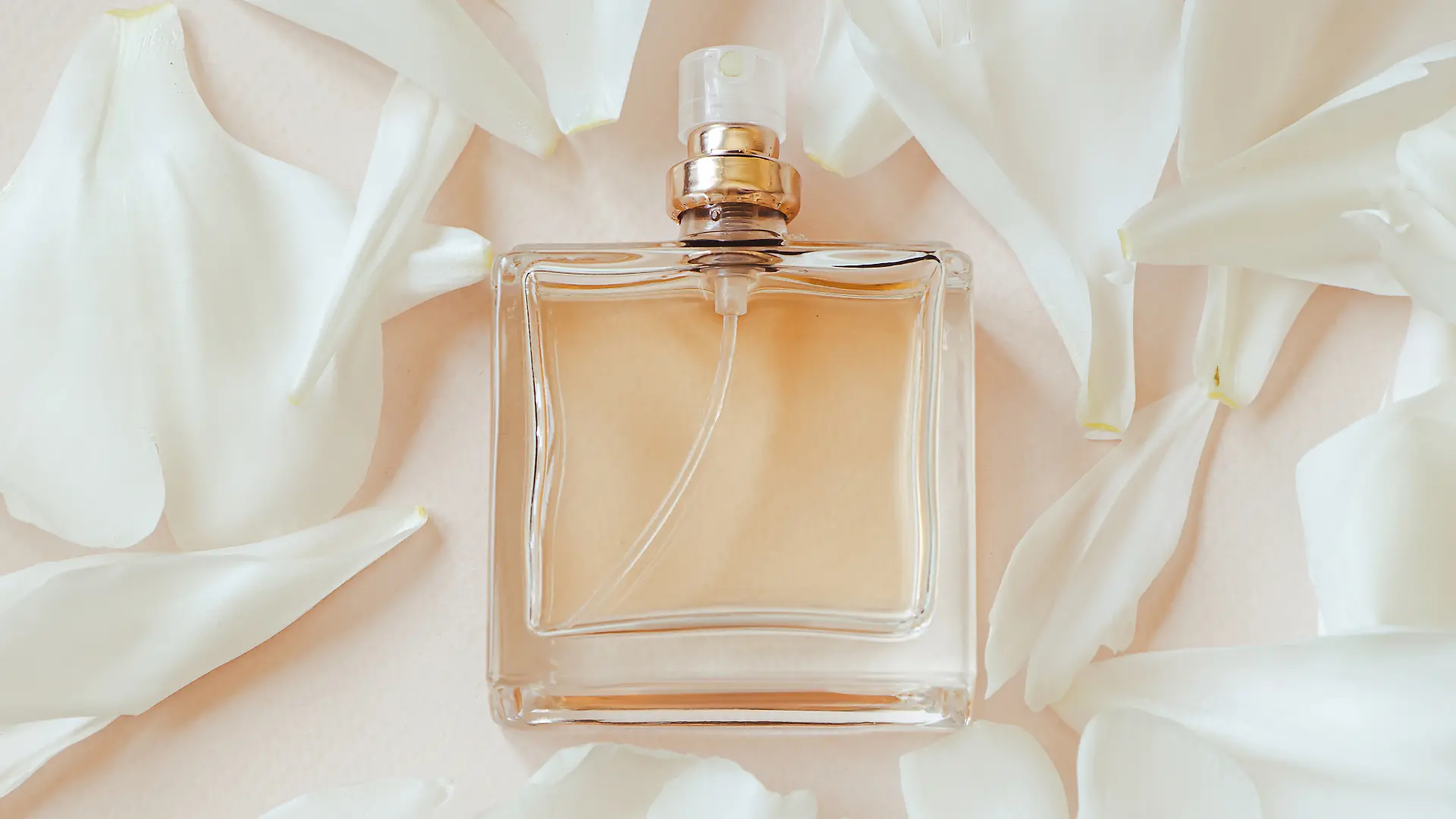 Parfum am Prime Day besonders günstig.