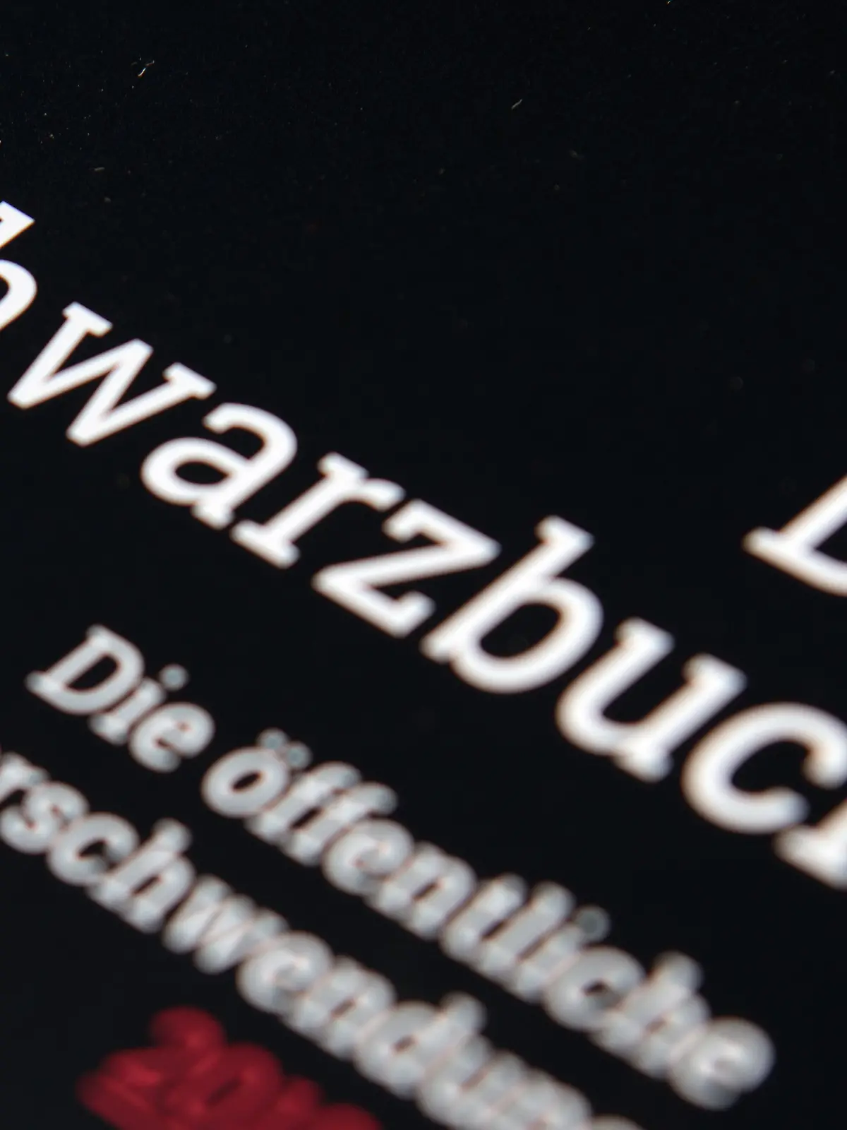 Bild zu: "Das bringt das Schwarzbuch wirklich"