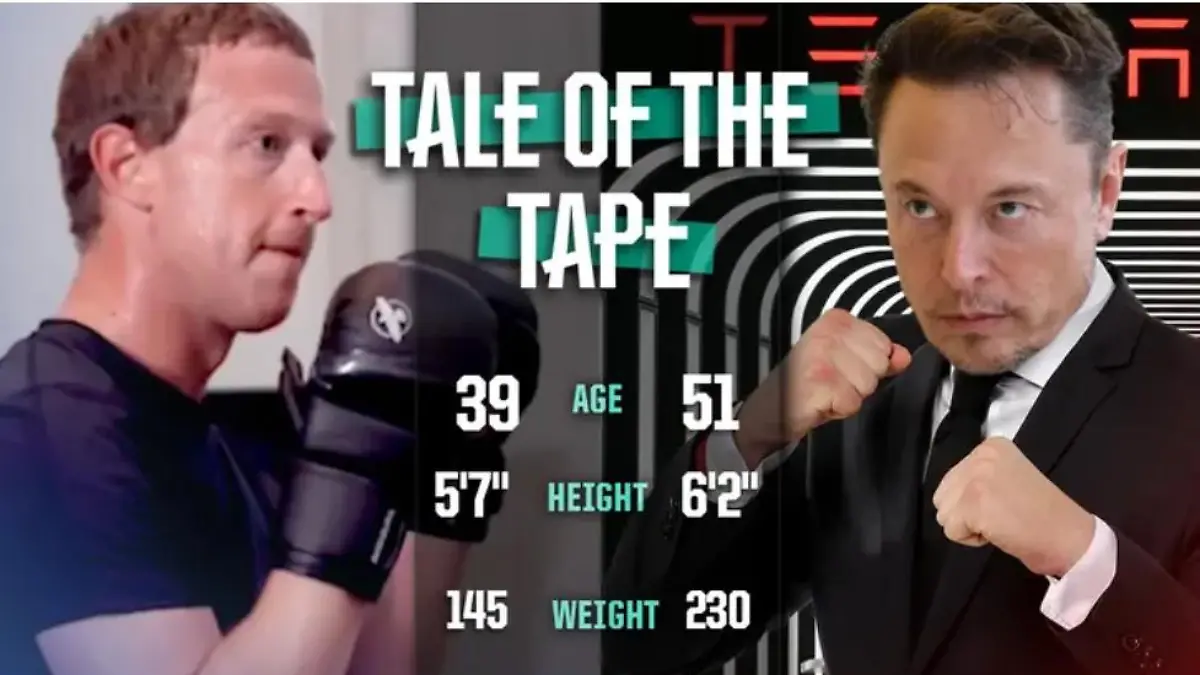 Das "Tale of the Tape"