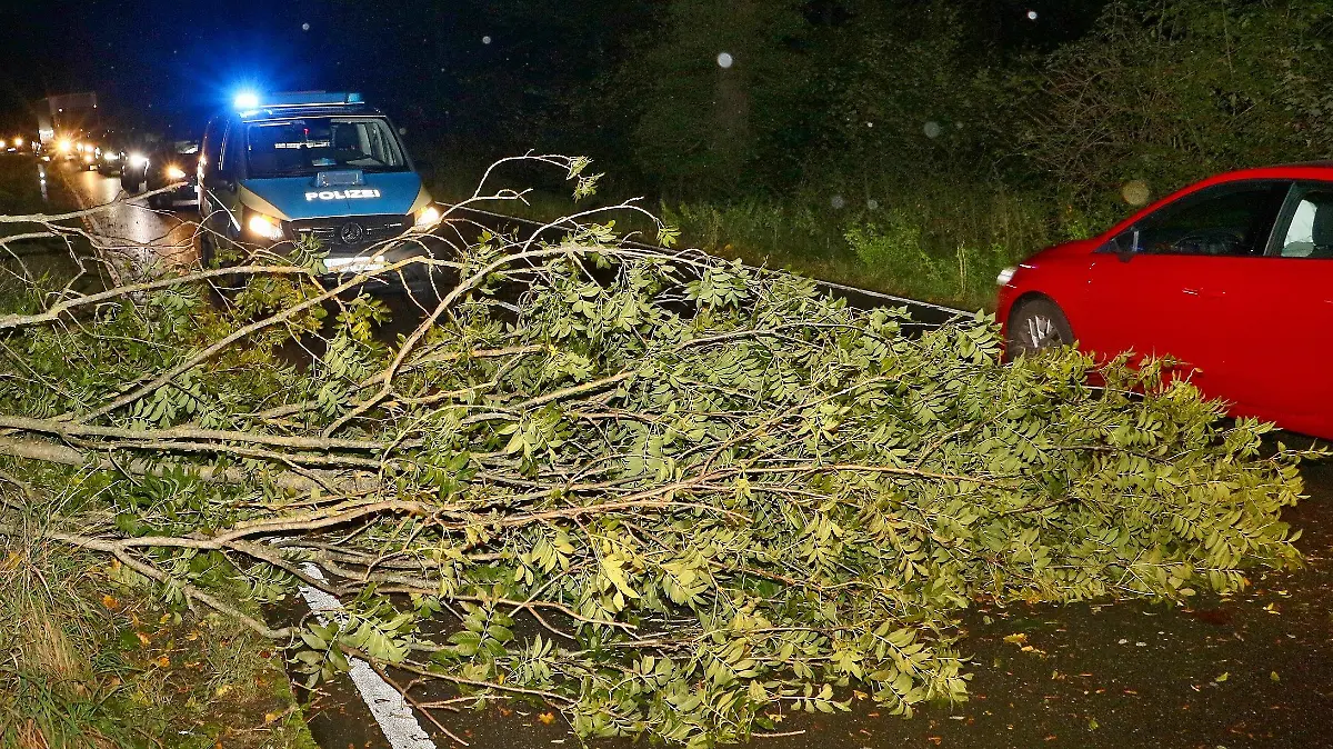 10.10.2024, Baden-Württemberg, Korntal-Münchingen: Polizei und Feuerwehr sind im Einsatz, nachdem ein Baum umgefallen ist auf der Kreisstraße 1690 zwischen Ölmühle und Golfplatz Nippenburg. Ex-Hurrikan "Kirk" hat in Baden-Württemberg für Feuerwehreinsätze sowie Beeinträchtigungen im Bahnverkehr gesorgt. Foto: Andreas Rometsch/KS-Images.de/dpa +++ dpa-Bildfunk +++