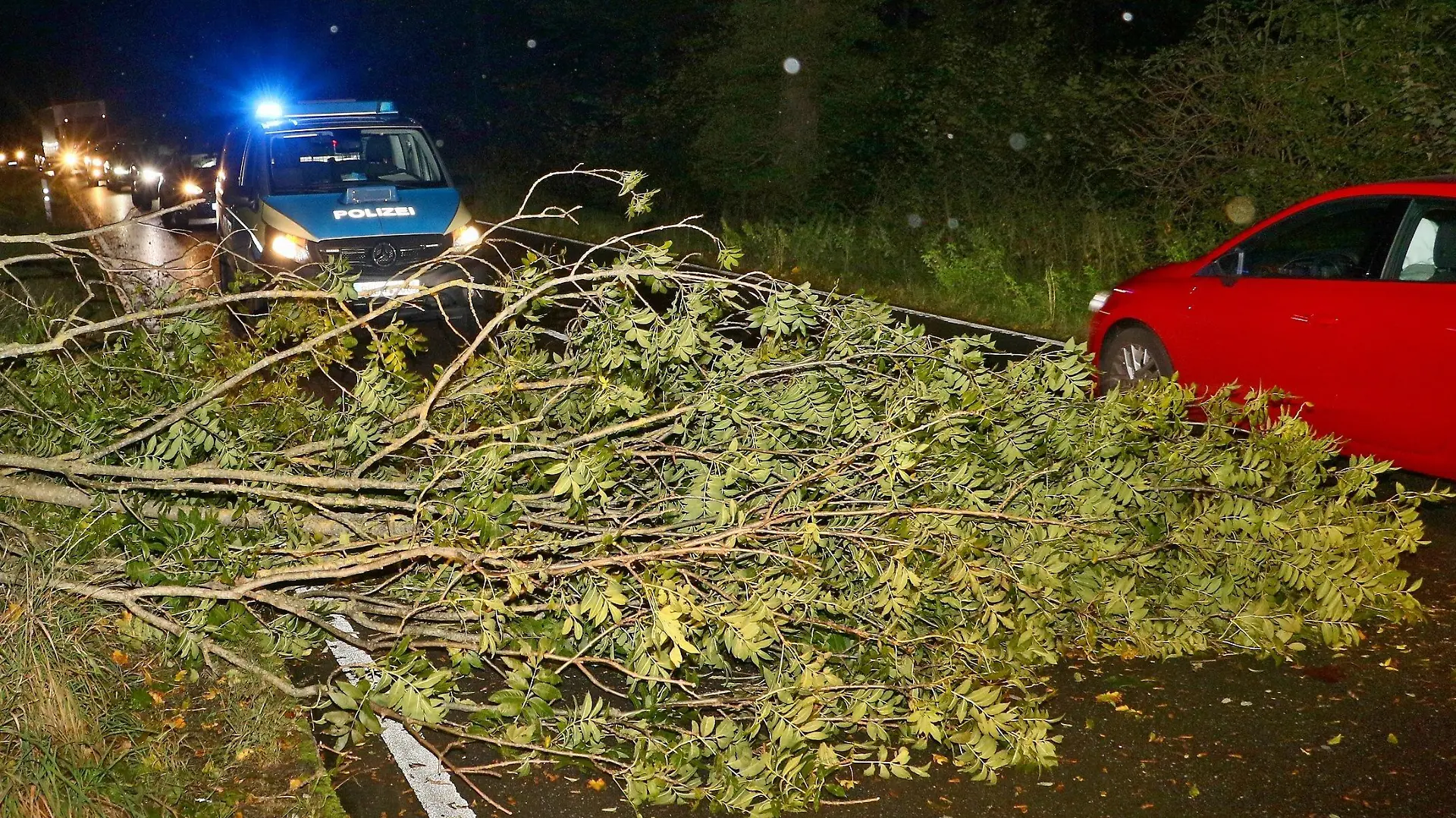 10.10.2024, Baden-Württemberg, Korntal-Münchingen: Polizei und Feuerwehr sind im Einsatz, nachdem ein Baum umgefallen ist auf der Kreisstraße 1690 zwischen Ölmühle und Golfplatz Nippenburg. Ex-Hurrikan "Kirk" hat in Baden-Württemberg für Feuerwehreinsätze sowie Beeinträchtigungen im Bahnverkehr gesorgt. Foto: Andreas Rometsch/KS-Images.de/dpa +++ dpa-Bildfunk +++