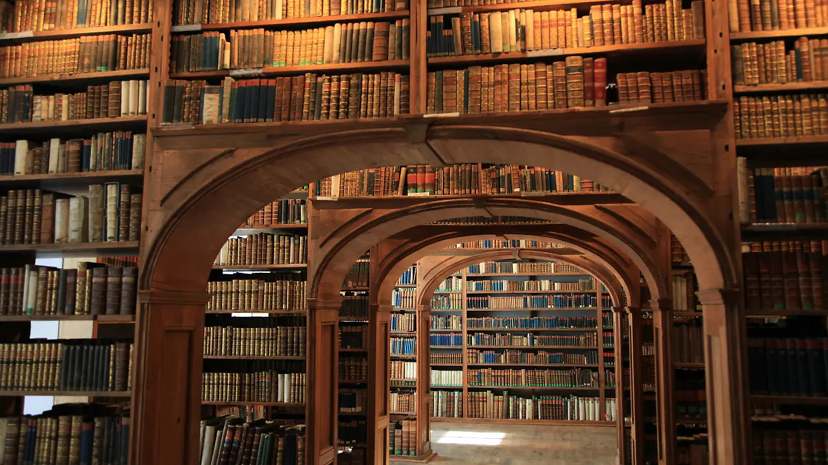 Alte Bibliothek.