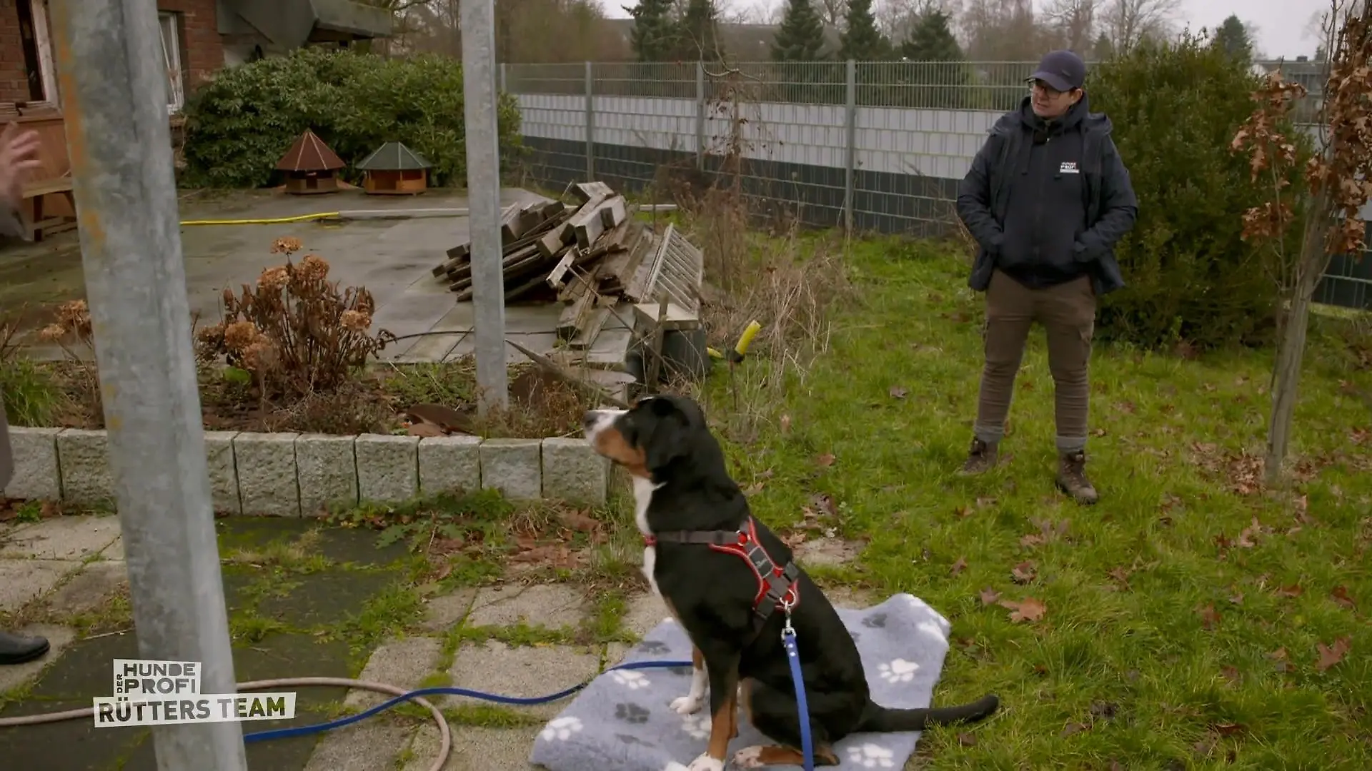 Hundetrainierin Melle besucht die freche Leonie Das Trainig startet