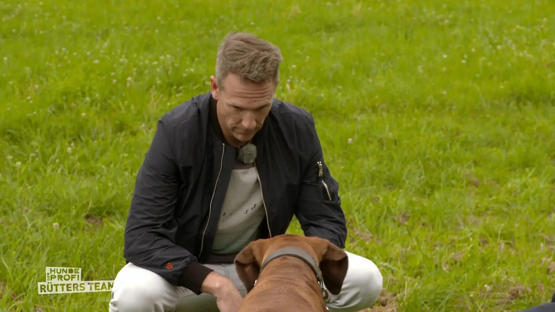Stefan und Ivy nähern sich immer mehr an Happy End?
