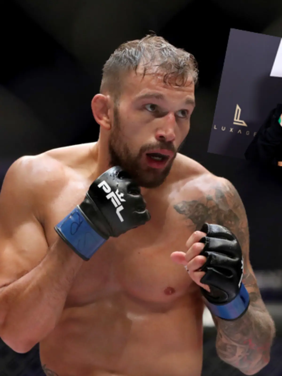 Bild zu: "Playmate will deutschen MMA-Star daten! "