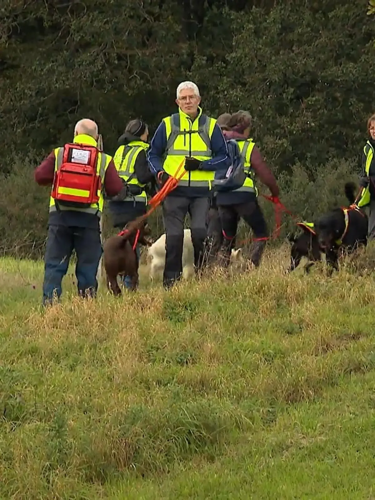 Bild zu: "„Saving Paws“ – Hunde retten Hunde"