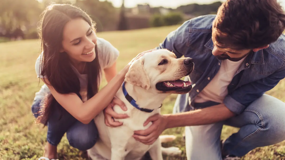 Dating mit Hund: Diese Rassen machen euch besonders attraktiv.
