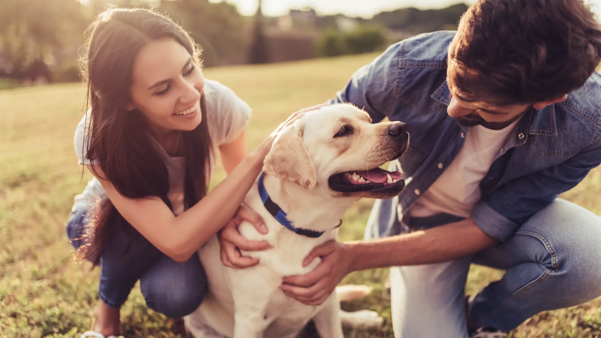 Dating mit Hund: Diese Rassen machen euch besonders attraktiv.
