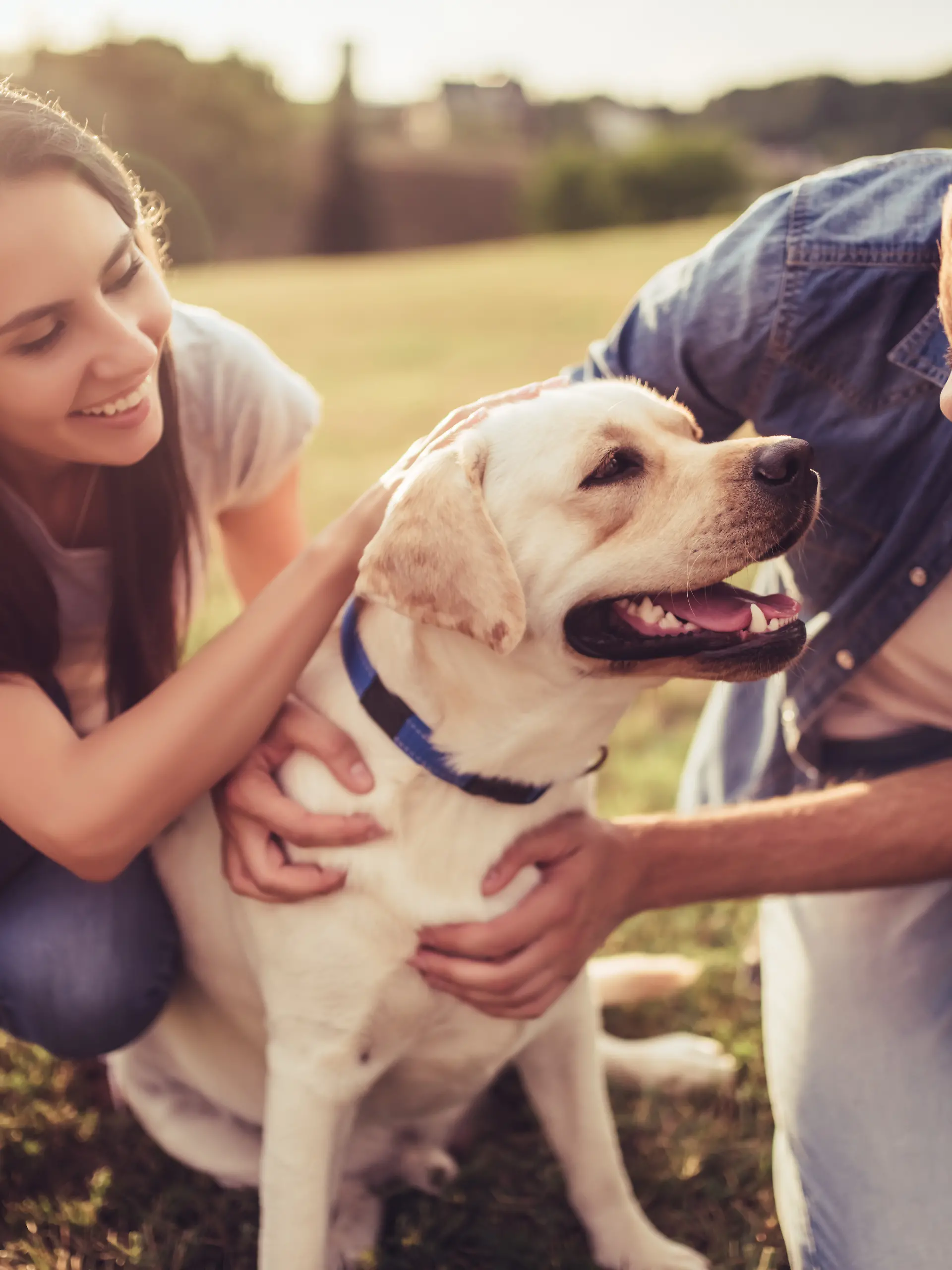 Dating mit Hund: Diese Rassen machen euch besonders attraktiv.