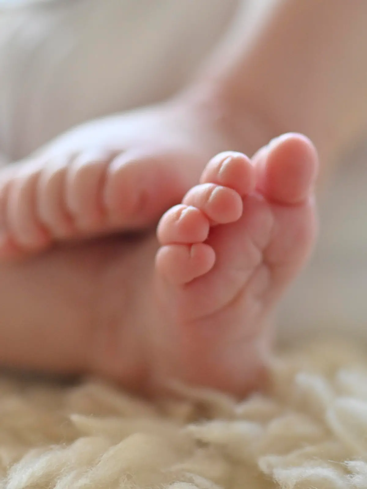Babyfüßchen, Säugling, Mädchen, 10 Tage, Stuttgart, Baden-Württemberg, Deutschland, Europa Baby Füße Babyfuß