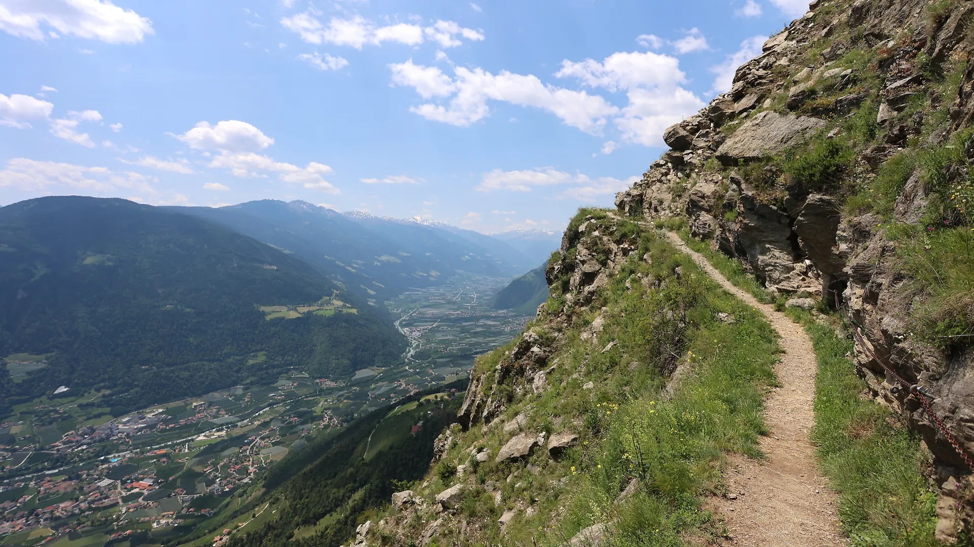 Der Vellauer Felsenweg ist ein ordentlich gebauter Pfad, der sich an diese felsigen Hänge klammert.